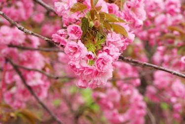 徐州铜山区1线下个人借款平台一站式服务，轻松解决资金难题