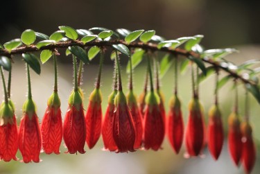徐州铜山区1零用贷短借：轻松解决临时资金需求