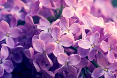 徐州铜山区1企业急用钱贷款攻略：快速融资解燃眉之急